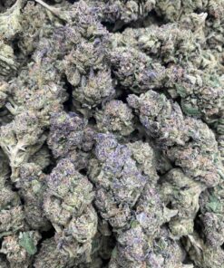 PEAK TREE 🌲