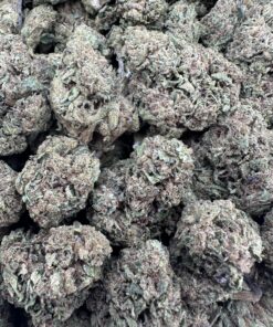 SHERBERT