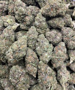 GASFACE ⛽️