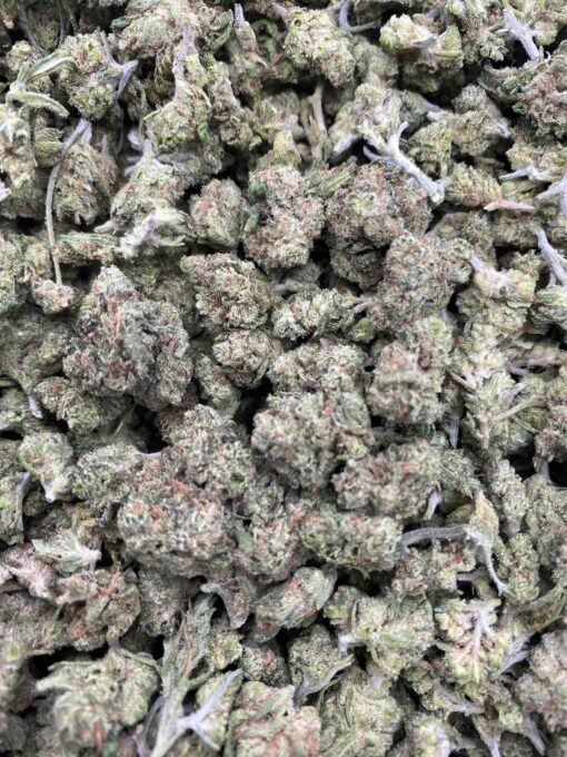 BLUE DREAM SMALLS