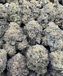 WHITE LEMON CHERRY