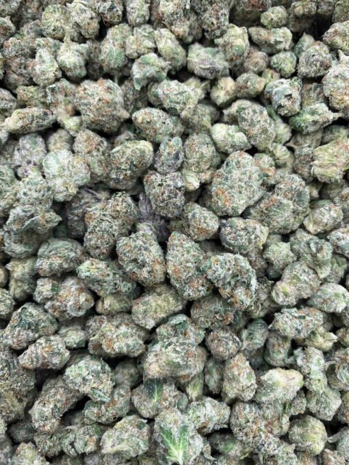 WARHEADZ SMALLS 🤯