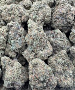 JUNGLE MINTZ (SEEDED)