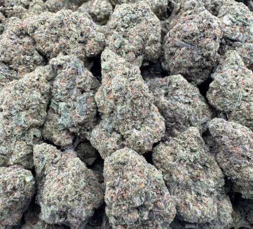 JUNGLE MINTZ (SEEDED)