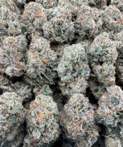 CANDY BOMB MEDIUMS