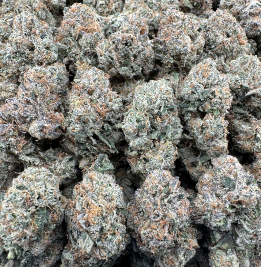 CANDY BOMB MEDIUMS