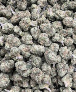 PINK CERTZ SMALLS