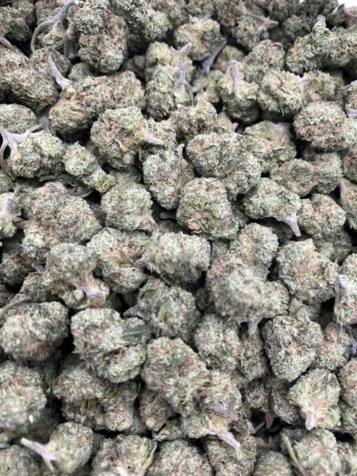 PINK CERTZ SMALLS