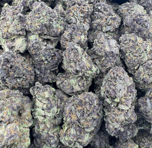 CHERRY BURST